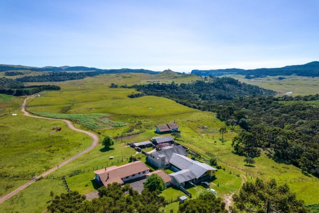 Vista aérea da fazenda cercada de araucárias